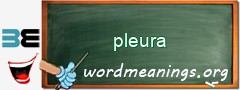 WordMeaning blackboard for pleura